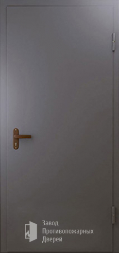 Фото двери «Техническая дверь №1 однопольная» в Мытищам