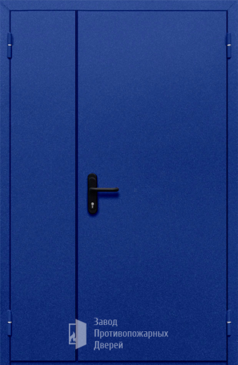 Фото двери «Полуторная глухая (синяя)» в Мытищам