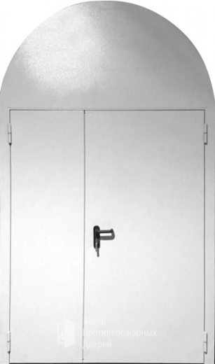 Фото двери «Арочная дверь №2» в Мытищам