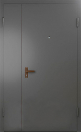 Фото двери «Техническая дверь №6 полуторная» в Мытищам